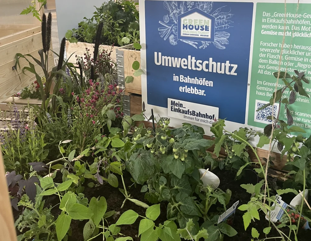 Für wen ist LebensOrt gemacht?